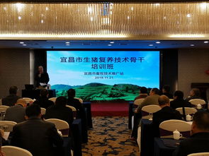 科技賦能，精準施策——市畜牧技術推廣站舉辦專題培訓班，全力助推生豬復產(chǎn)保供給
